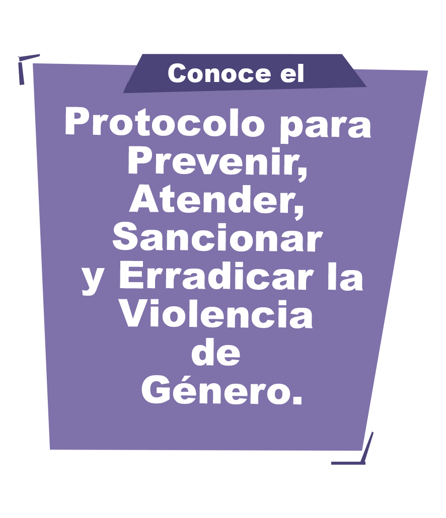 Protocolo Para Prevenir Atender Sancionar Y Erradicar La Violencia De